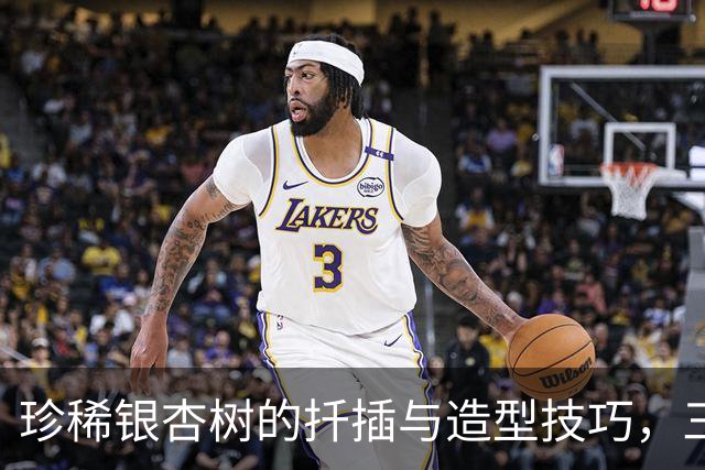 珍稀银杏树的扦插与造型技巧，三年后见证心血成果